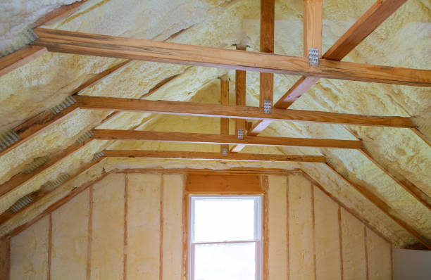 Best Insulation Inspection Services  in North Highlands, CA