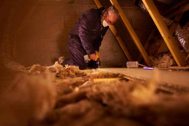 Professional Insulation Contractor in North Highlands, CA
